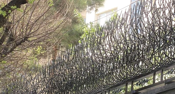 مدل بوته ای