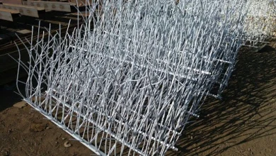 حفاظ شاخ گوزنی